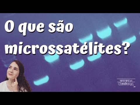 Vídeo: Diferença Entre Minissatélite E Microssatélite