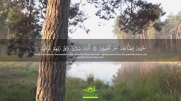تلاوة رائعة: " الَّذِينَ صَبَرُوا وَعَلَىٰ رَبِّهِمْ يَتَوَكَّلُونَ" | سورة العنكبوت | قرآن