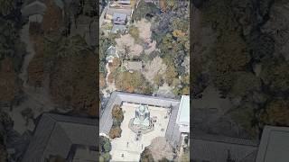 Great Buddha of Kōtoku in Japan #fyp #budha