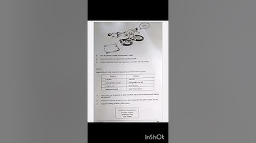 class 7 basic science english medium annual exam 2025 model question paper