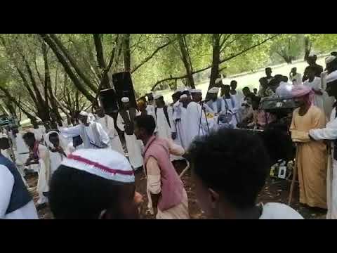 حفلة اخوي عمر عبد الحفيظ احمد التاي ال حدره 