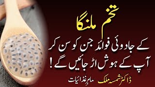 TOP 7 AMAZING HEALTH BENEFITS OF BASIL SEEDS | Tukh Malanga ke fayde | Dietitian Shamsa Malik