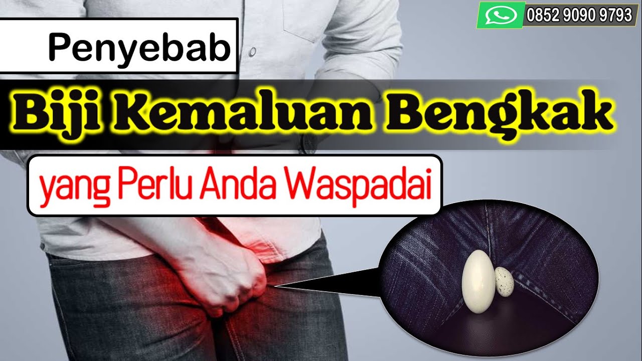 Penyebab Biji Kemaluan Bengkak yang Perlu Anda Waspadai 