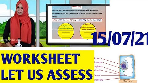 Victers Class6 basic science worksheet#victerdclass6_basic_science_worksheet അടിസ്ഥാന ശാസ്ത്രം വർക്
