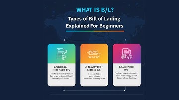 What is B/L : Types of Bill of Lading Explained For Beginner #sea_freight #shipping #logistics