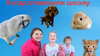 Когда  отменили школу..