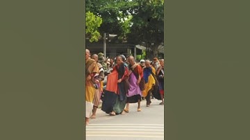 Thầy Thích Minh Tuệ tự nguyện dừng việc đi bộ khất thực #tintuc #