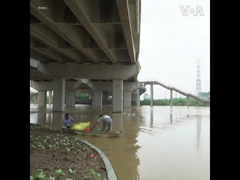 廣東清遠洪水給農民造成巨大損失