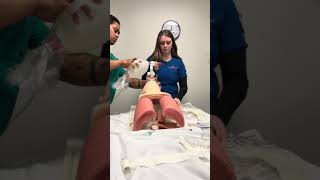 Intubation and BVM with EOlife Feedback: Optimizing Ventilation Performance