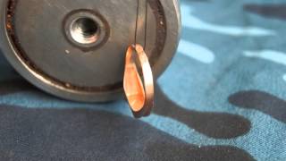 ПЕРМЬ Магнит и золотое кольцо Magnet and golden ring
