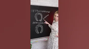 Первичноротые и вторичноротые