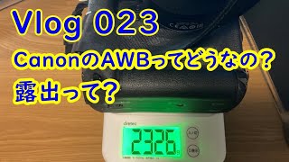 【Vlog 023】オートホワイトバランスってどうなの？　#74