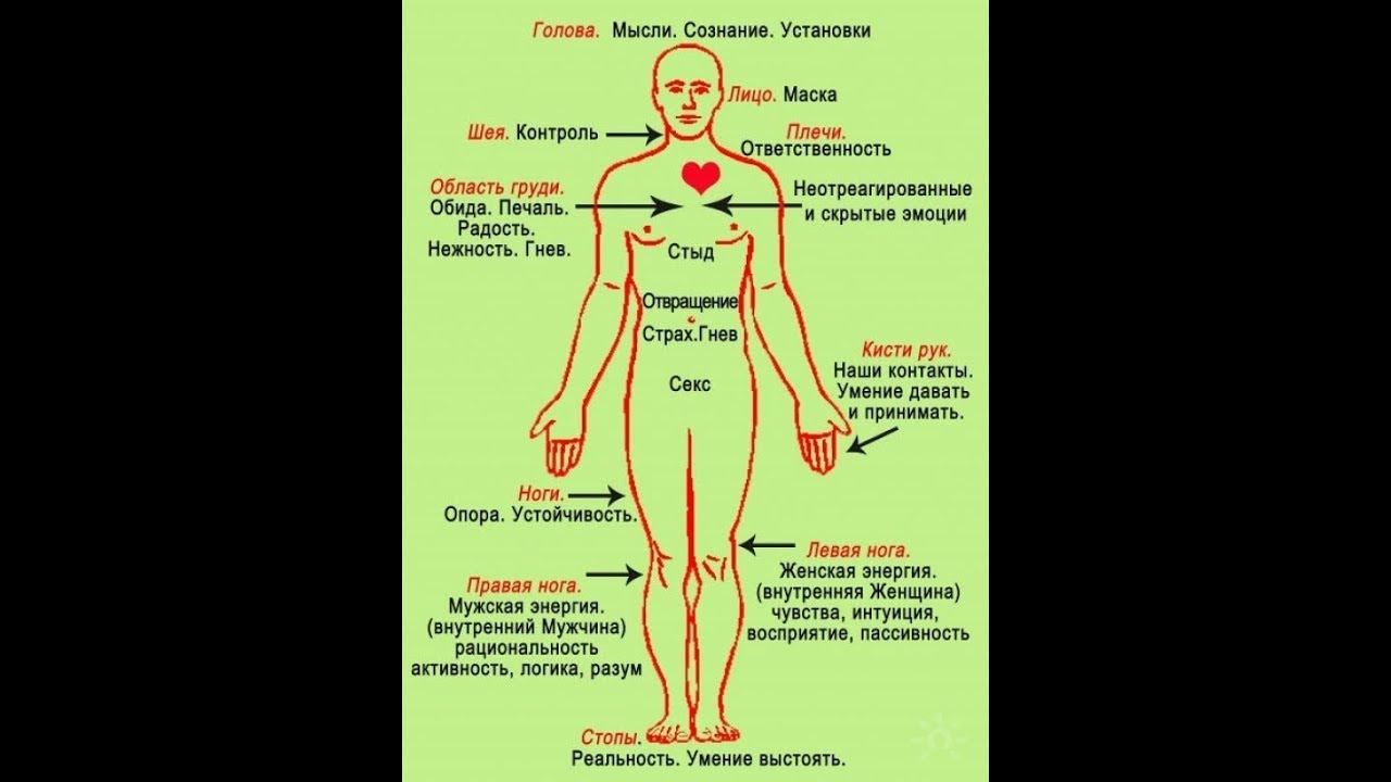 Болит вся левая сторона тела. Левая сторона тела. Психосоматика левая и правая сторона. Психосоматика левая сторона. Левая сторона тела психосоматика у мужчин.