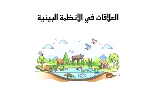 العلاقات في الأنظمة البيئية - للصف الرابع الابتدائي