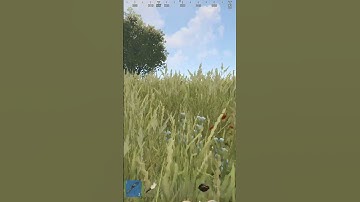 Biggest fear of geared guys in rust  #rustshorts