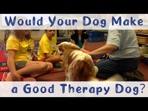 Video: Kas daro šunį gydančiu „geru“?
