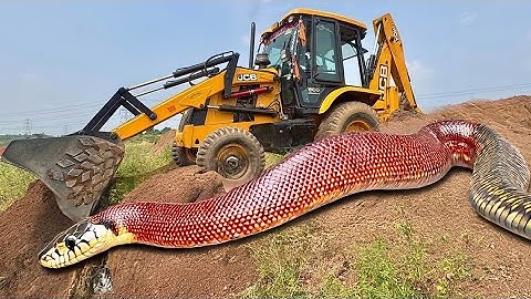 JCB 3dx Backhoe Loading Mud in Mahindra 475 JCB miti Khudai #jcb #jcbvideo