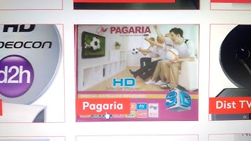 Pagaria 5050 / 6060 buy easy way