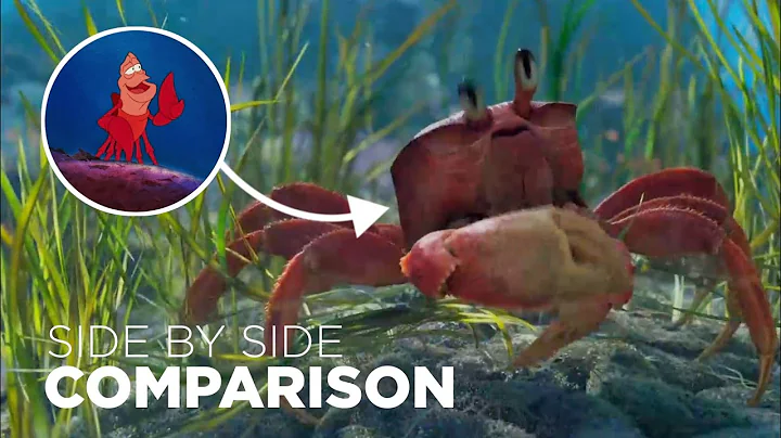 The Little Mermaid Character Comparison Side-By-Side 1989 Animation To 2023 Movie