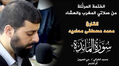 سورة المائدة كاملة بصوت القارئ محمد مصطفى محاميد الختمة المرتلة