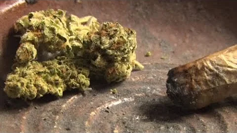 O'Scanlon calls for separating pot legalization bill