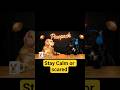 Stay Calm? | Dog Podcast EP 2 | Goldie &amp; Frenchie