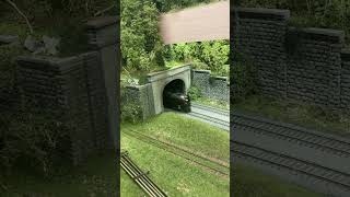 844 exits the tunnel to plainfield station at 70  scale mph with her ferry move  #hoscaletrains #fun