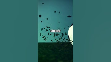 Dynamics Introduction  Kinematics  The Art of Motion! 2025