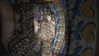 Mehendi Art By Taniya Roy