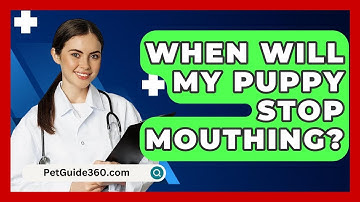 When Will My Puppy Stop Mouthing? - PetGuide360.com