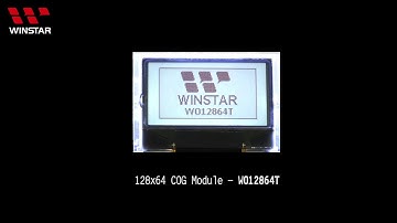 Winstar COG LCD Module - WO12864T