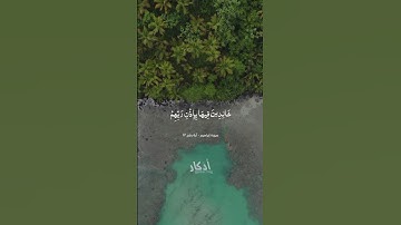 سورة إبراهيم.. آية رقم ٢٣.. الشيخ مشاري العفاسي.. #قران_كريم #رمضان