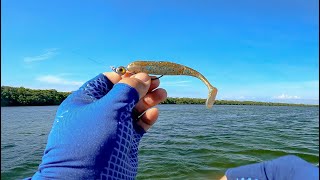 Fishing at Low Tide Using Only Soft Plastic Lures #KayakFishing screenshot 3