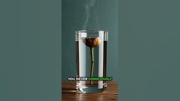 Your Personality Is Just Programming (And You Can Change It)