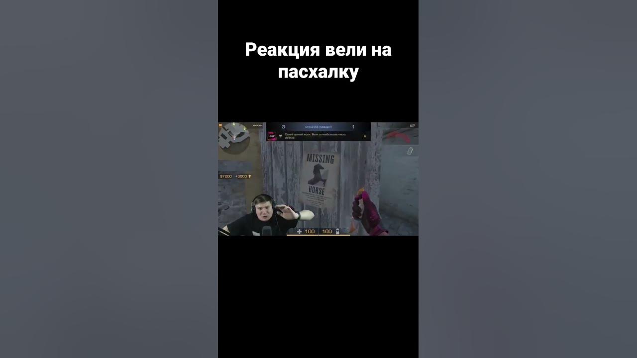 пропал. конь. 😭😭 - YouTube