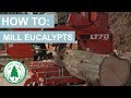 How To: Mill Eucalypts