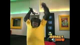 Nicktoons - Promo Fragments (2003)