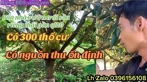 gia đình cần chuyển nhượng lại mảnh đất nhà vườn trái cây sầu riêng thái doanh thu ổn định có thổ cư