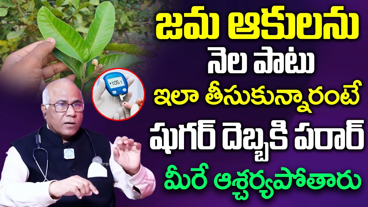 రోజు 2 ఆకులు చాలు షుగర్ 100 దాటనే దాటదు | Dr. CL Venkat Rao About Diabetes Control