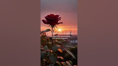 #سورة_نوح بصوت القارئ #ماهر_المعيقلي