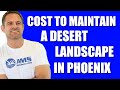 Cost to maintain a desert landscape in phoenix  amslandscaping