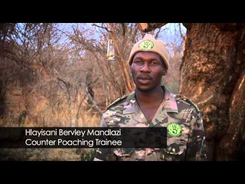 Video: Te ženske ščitijo Nosoroge V Južni Afriki - Matador Network