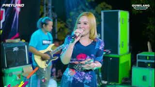 PAEYLAND MUSIC - SELIMUT HITAM EVA AQUILA - PARTY GOKIL COMMUNITY - TELUK WETAN WELAHAN JEPARA