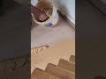 Elevate Your Home with Golden Brushed Oiled Herringbone Engineered Wood Flooring