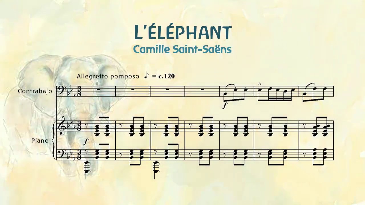 Elefante C. Saint Saens