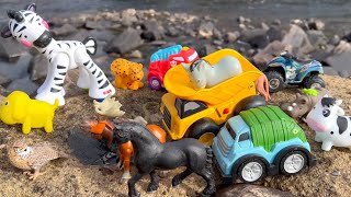 Zoo, Farm Animal Toys and Vehicles for Kids