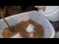 ДАЧНЫЕ ДЕЛА В СИБИРИ -Чем кормить кур зимой?