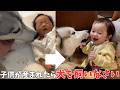 産まれた時からずっと一緒なハスキーと赤ちゃんの現在があのことわざ通りでした…
