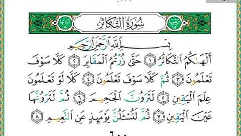 سورة التكاثر 102 سعد الغامدي