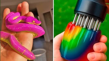 Try not to say wow challenge! Oddly satisfying and delight your eyes #90|Try not to say wow challeng